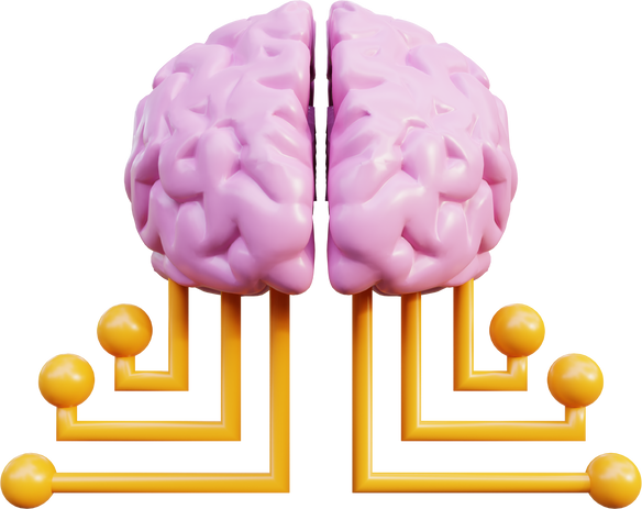 3D Brain Illustration